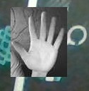 Hand landmark example 5